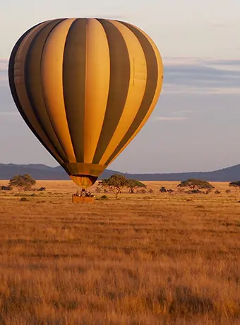 Hot air balloon floating over golden savannah at sunrise on an East Africa safari