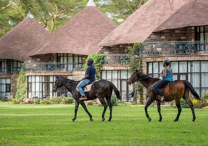 Horse Riding