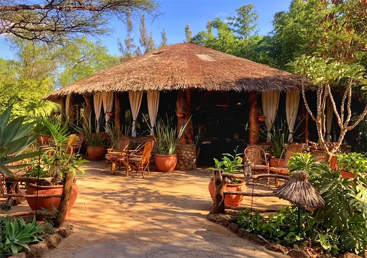 kibo safari camp accomodations 4
