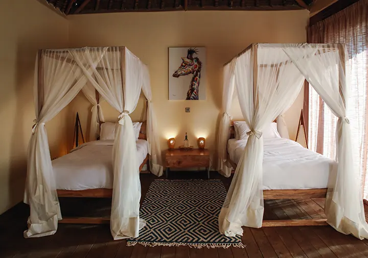 lions_bluff_family_suites_3