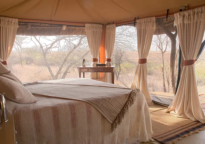 Elewana Lewa Safari Camp
