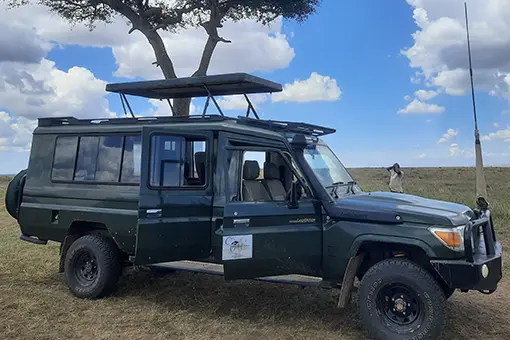 Safari jeep 1