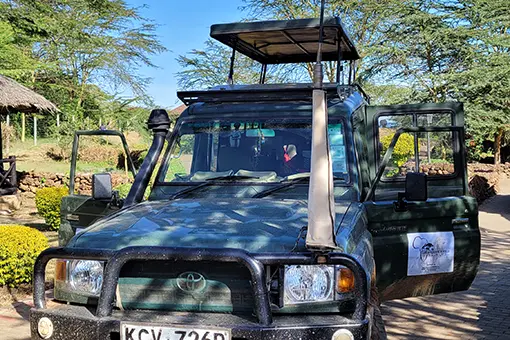 Safari jeep 3