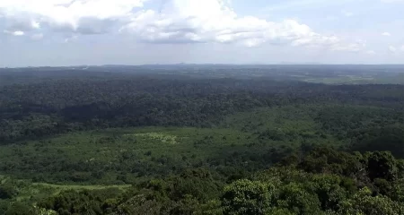 Kakamega National Park