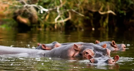 Lake-Mburo-National-Park