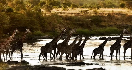 Mara North Conservancy