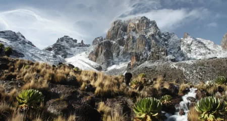 Mount Kenya National Park