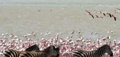 Ngorongoro Conservation Area overview