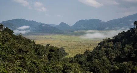 Nyungwe National Park