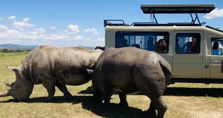 Ol Pejeta Conservancy