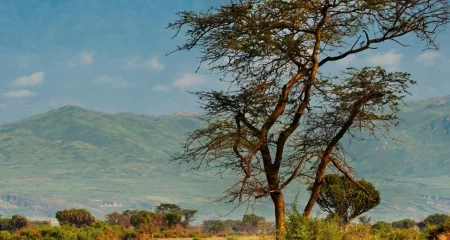 Queen Elizabeth National Park