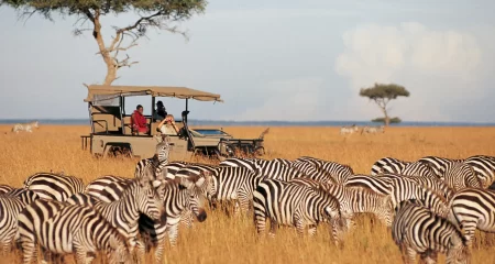 Samburu National Reserve