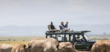 Solio Ranch overview