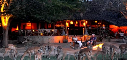 Satao Camp safari accommodation